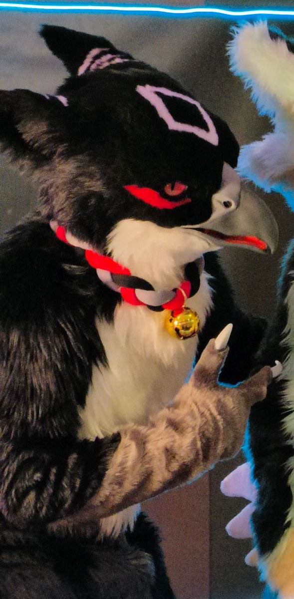 SO_Mikhail's tweet image. Not very good birb