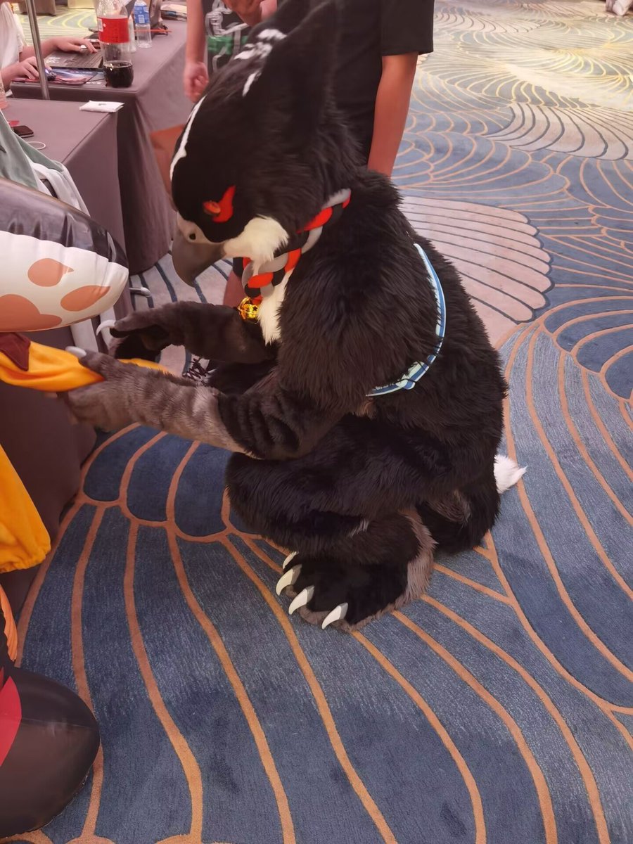 SO_Mikhail's tweet image. Not very good birb