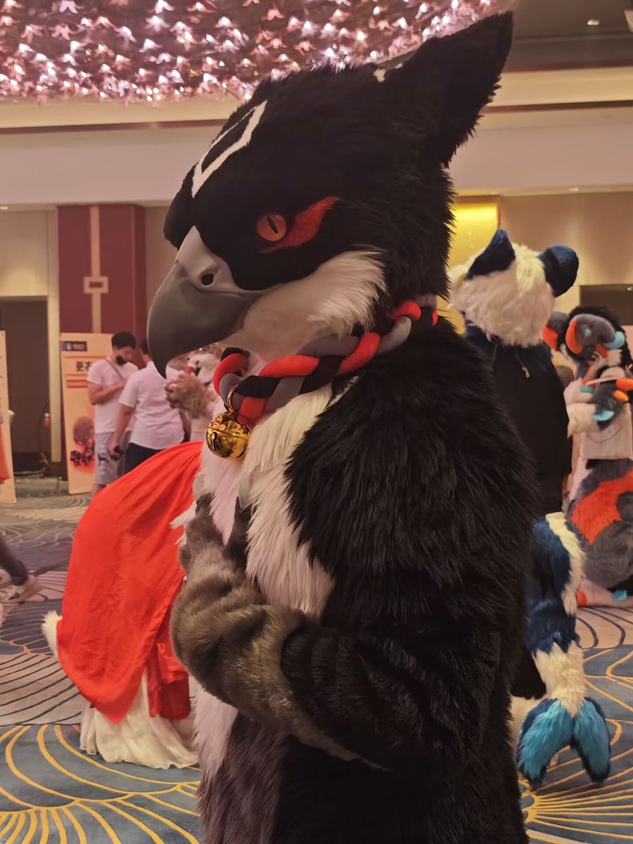 SO_Mikhail's tweet image. Not very good birb