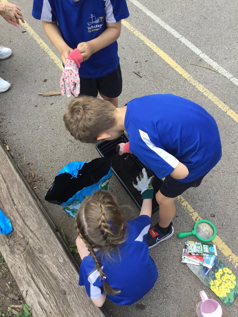 For our final Unselfish Act of the year Rowan wanted to create a space for mini beasts. We planted bee friendly wildflowers and set up bug hotels for them to enjoy. Let us know if you spot our kindness garden! 🌻🐝 <a href="/SchoolWhitegate/">Whitegate C/E School</a>