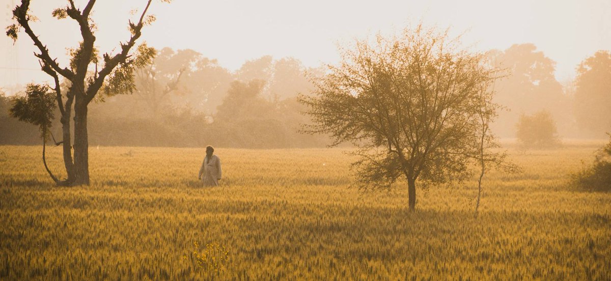 SAsiaLSE's tweet image. How do #climate emergencies & related #disasters impact women agricultural workers in #Pakistan? Palwasha Khan looks at the variety of factors & argues for the need for better government #policy & support.
blogs.lse.ac.uk/southasia/2025…
@LSEGenderTweet @LSE_ID @GRI_LSE @CETEx_LSE