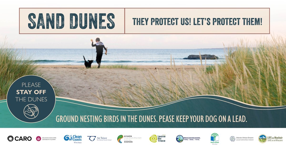 Dog Walkers, Take Note! Many rare birds nest in dunes. Keep your dog on a lead to protect them! #ProtectOurDunes #CoastalConservation #RespectNature