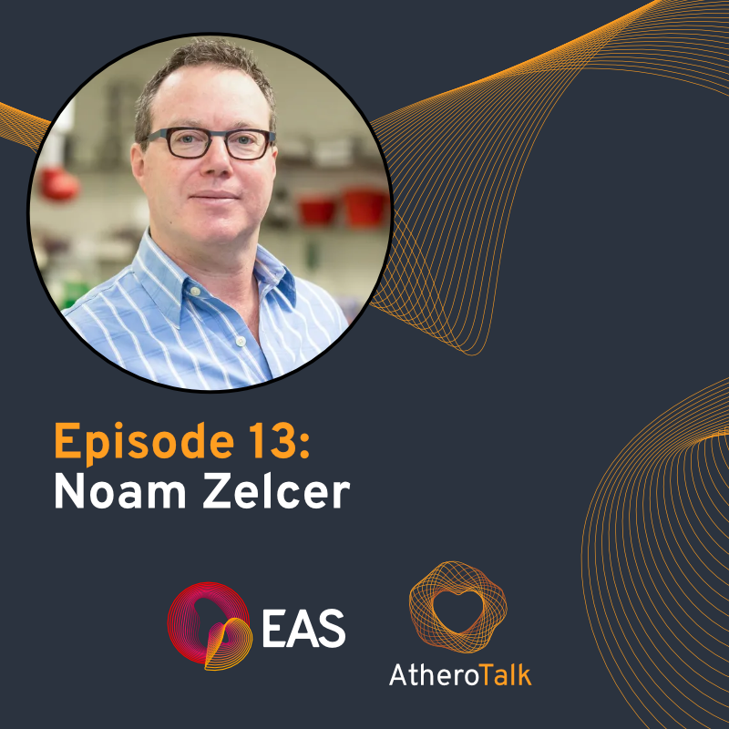 society_eas's tweet image. In episode 13, we talk with Prof. Noam Zelcer, a globally respected expert in the field of molecular regulation of lipid metabolism and cardiometabolic diseases. He shares his perspectives on the evolving field of lipid metabolism research. Besides his scientific insights, he…