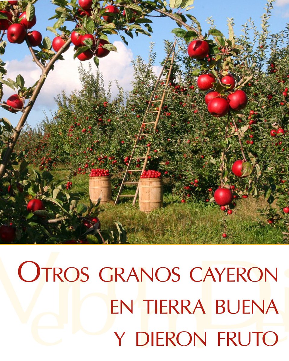 vaticannews_es's tweet image. #23deJulio ¡Muy buenos días! Este miércoles de la XVI semana del Tiempo Ordinario compartimos el #EvangelioDeHoy según san Mateo 13, 1-9. Puedes leerlo aquí: vaticannews.va/es/evangelio-d…