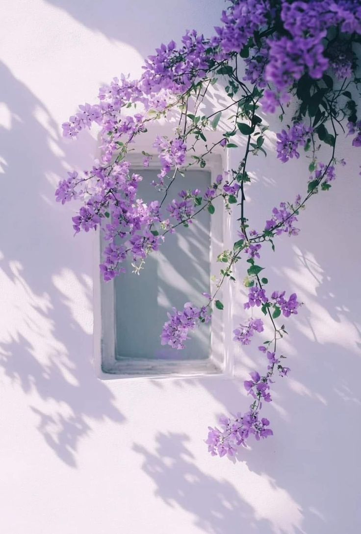 NadiaRossetti24's tweet image. 💜💜💜
🌿 Beauty cannot be questioned:
It reigns by divine right. 🌿
💜 Oscar Wilde ✒️