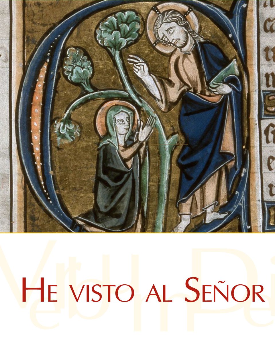vaticannews_es's tweet image. #22deJulio ¡Muy buenos días! Este martes de la XVI semana del Tiempo Ordinario compartimos el #EvangelioDeHoy según san Juan 20, 1-2. 11-18. Puedes leerlo aquí: vaticannews.va/es/evangelio-d…
