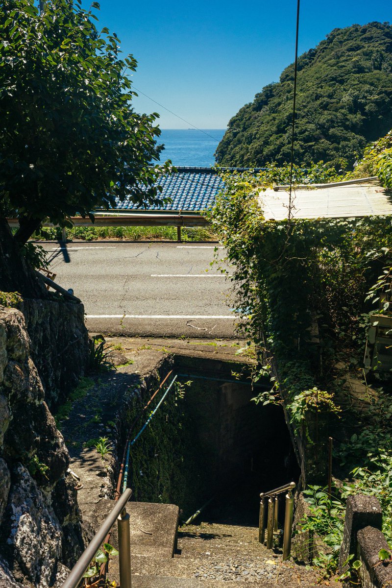 iiroji_bot's tweet image. 