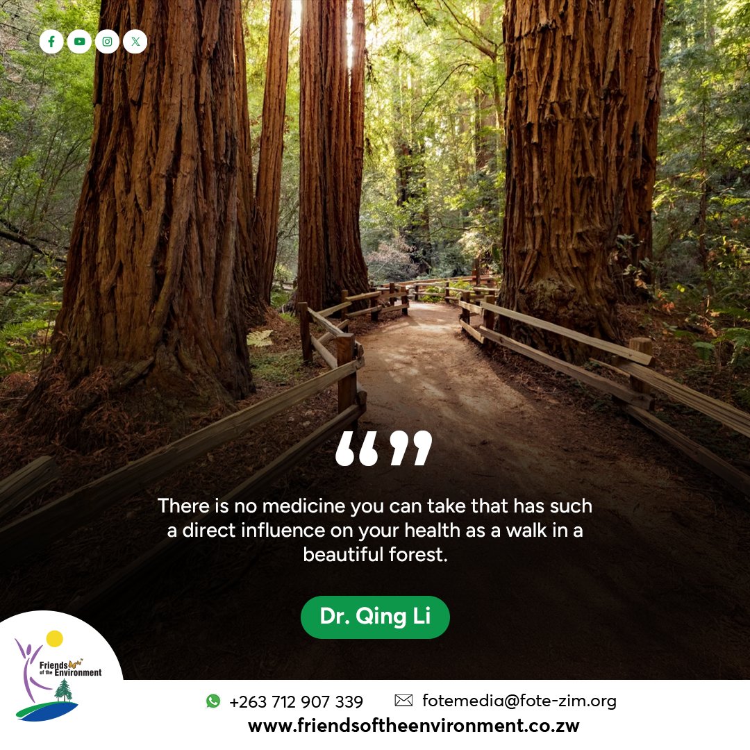 Friends of the Environment (@fote_zim) on Twitter photo Motivational Monday
#PlantATreeToday
#EcosystemRestoration
#BuildingCommunitiesTogether
<a href="/WWFZimEarthHour/">WWF Zim Earth Hour</a>
<a href="/ForestryComm/">Forestry Commission</a>
<a href="/EMAeep/">E.M.A</a> Motivational Monday
#PlantATreeToday
#EcosystemRestoration
#BuildingCommunitiesTogether
<a href="/WWFZimEarthHour/">WWF Zim Earth Hour</a>
<a href="/ForestryComm/">Forestry Commission</a>
<a href="/EMAeep/">E.M.A</a>