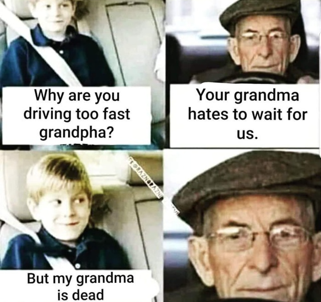 Даже пёс осознал, что его везут на мотоцикле