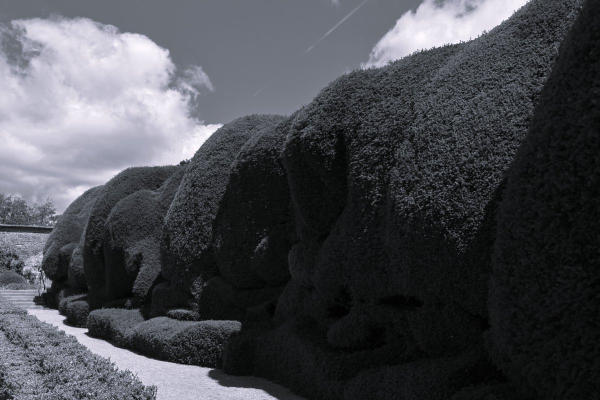 solidbond's tweet image. #Gallery365in2025 #Gallery365in2025JulyBrandt @Gallery365photo