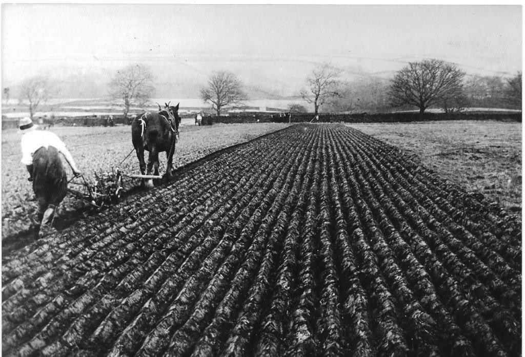 1901gennelm's tweet image. Things have changed a bit in my lifetime, Grandpa ploughing and me trying to figure out how to go forward π