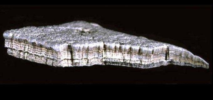 EmergentPodcast's tweet image. Live AMA! 🎙️ This Friday, July 25 at 8 PM EST, physicist Dr. Matthew Szydagis (@ualbany) joins EMERGENT to discuss UAP field research & the "art part" meta-material.
Get your questions in for the live Q&A! 👇 forerunner.reedsummers.com/forums/discuss…