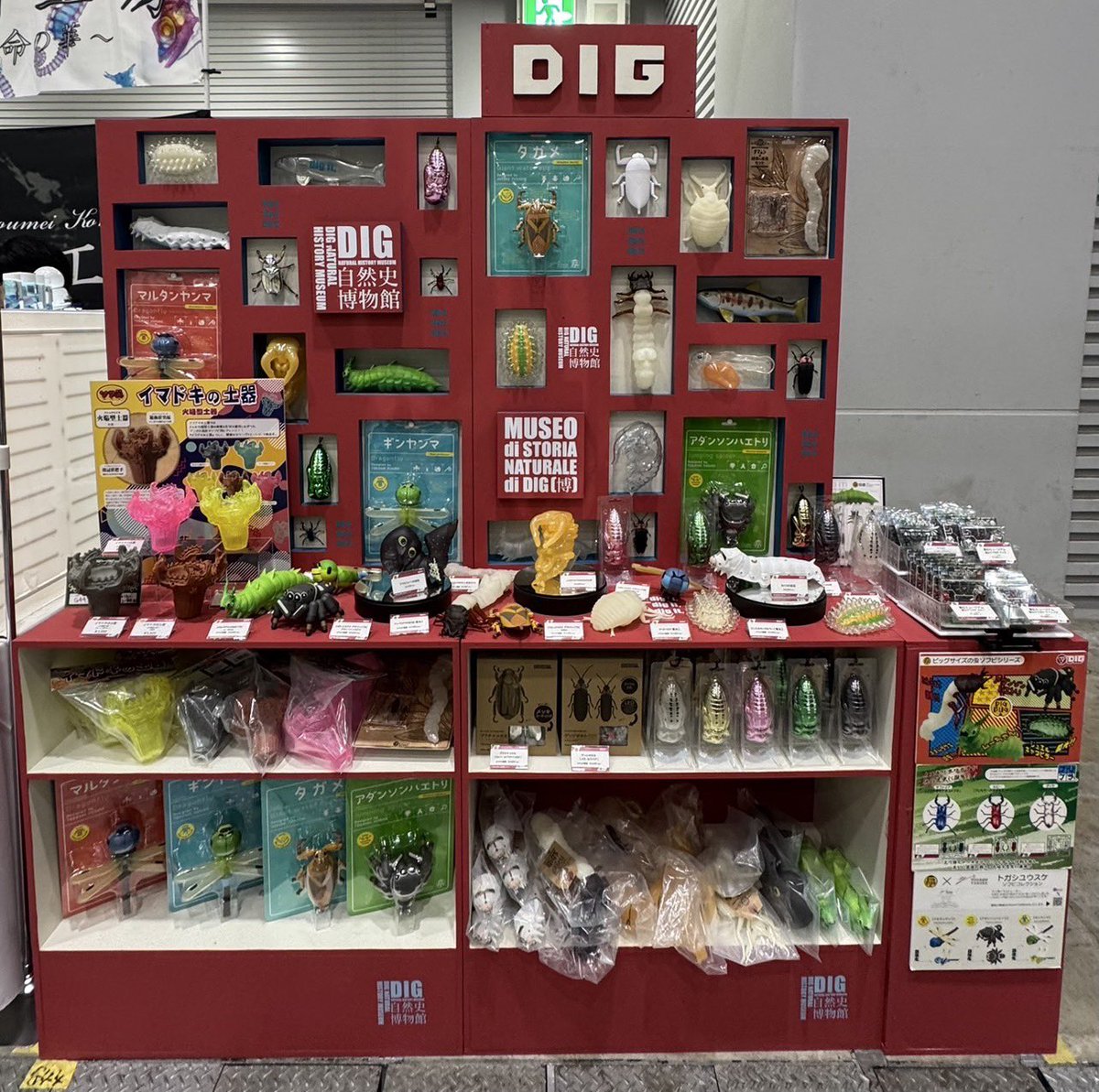DIG_museum's tweet image. \\ 2日目、終了‼ //
🔍#博物ふぇすてぃばる!11
は、無事終了しました✨
ご参加いただいた皆さま、
本当にありがとうございました!
また次回、
お会いできるのを楽しみにしています!
