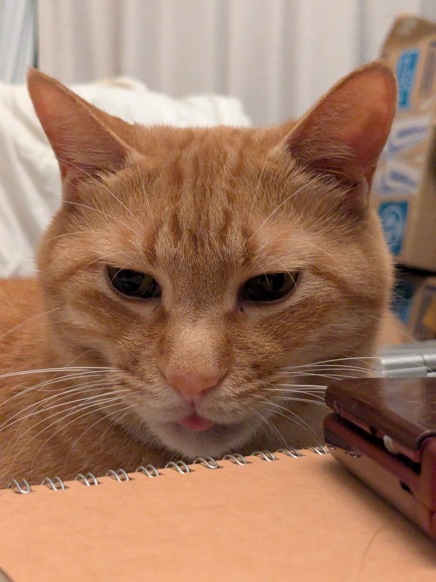 😺