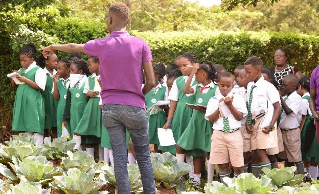 Agri-tourism in schools bridges the gap between theory and practice, thus providing students hands-on experience with agriculture. 

This does not only enhance their agricultural knowledge but also stirs up their interest in agriculture. 

#ATA
#Agritourism