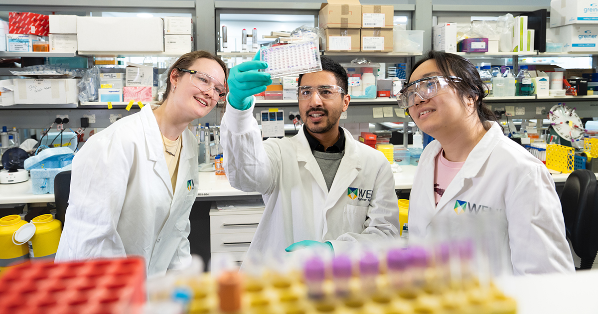 WEHI_research's tweet image. What makes WEHI a great place to study?
Find out at our upcoming 'A Glimpse into WEHI Student Life' in-person event Thursday 14 August, 4:30pm – 6:30pm at Parkville.
🎟️To register: eventbrite.com.au/e/a-glimpse-in…