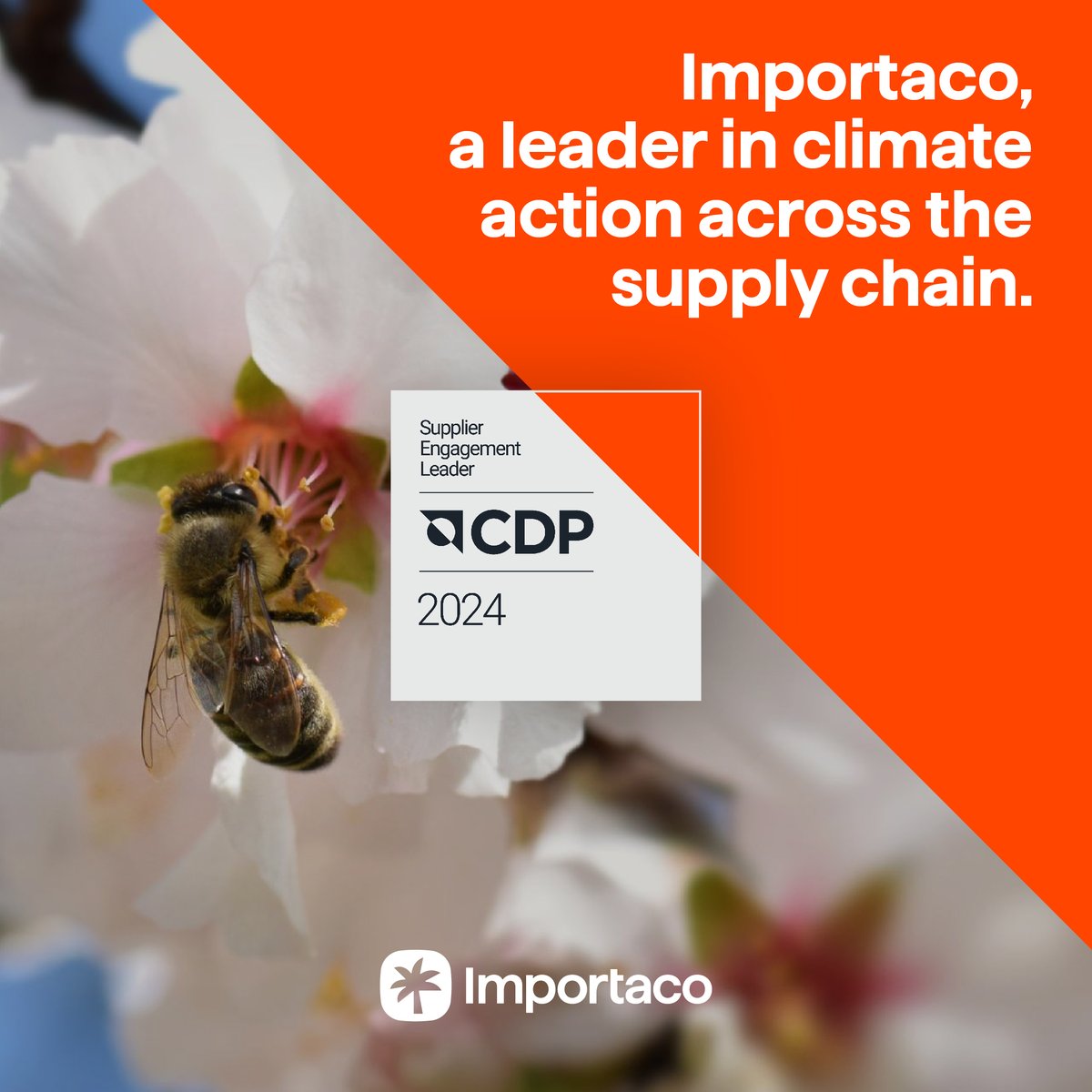 🌍 #Importaco, recognized by <a href="/CDP/">CDP</a> as a global leader in climate management across the #ValueChain. We are part of the 2024 Supplier Engagement Leaderboard. 🔗 More info: importaco.com/importaco-incl…
#Sustainability #CDP #ClimateChange