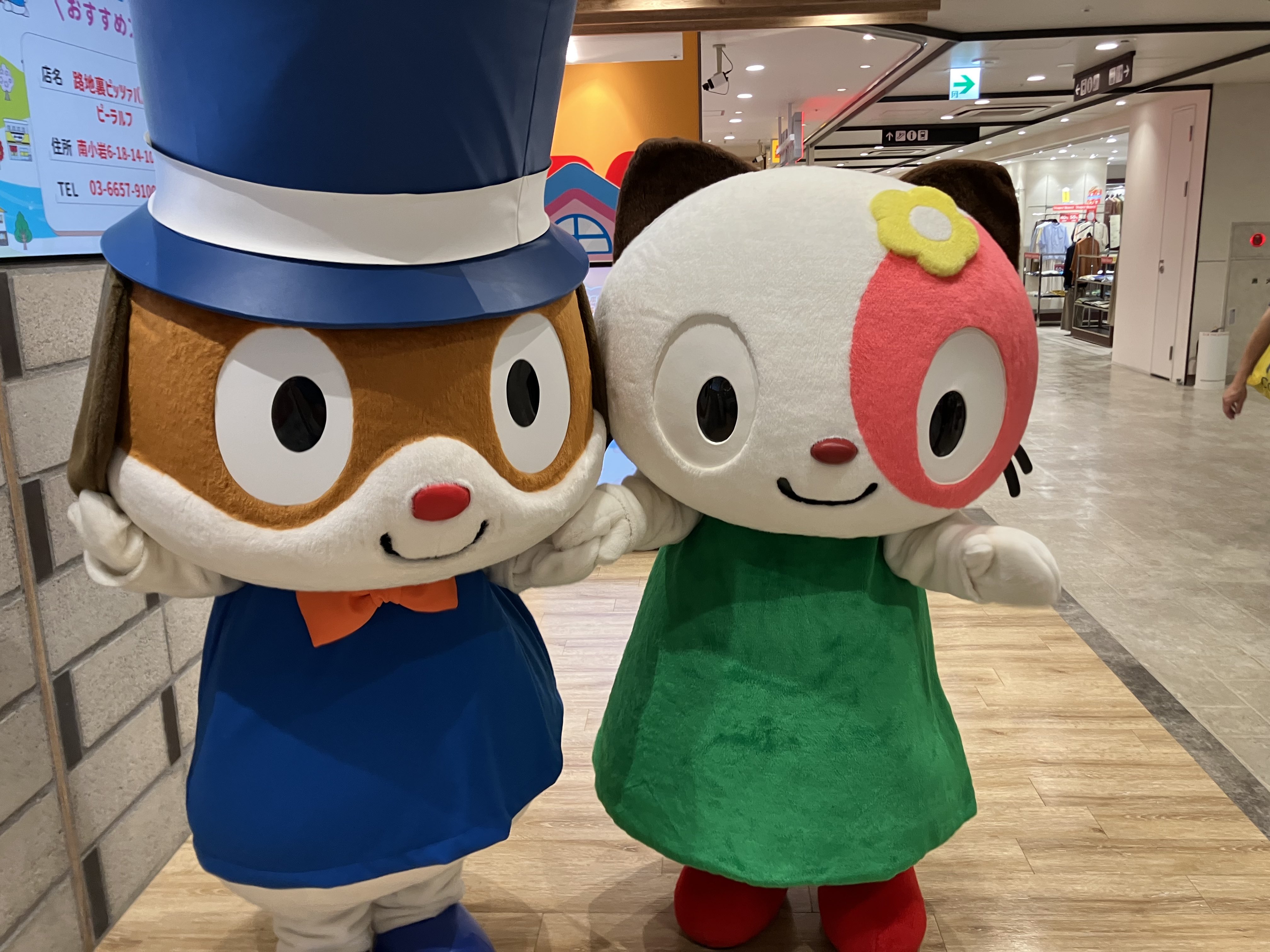 レア! キャットマガジンNYAO にゃお 7~10月号 どんぐりくん ぼのぼの ぼのぼの 16 (バンブー・コミックス) | いがらし みきお |本