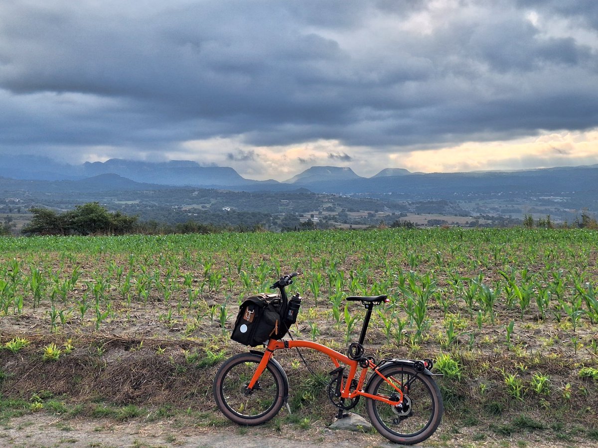 aprenent65 tweet media