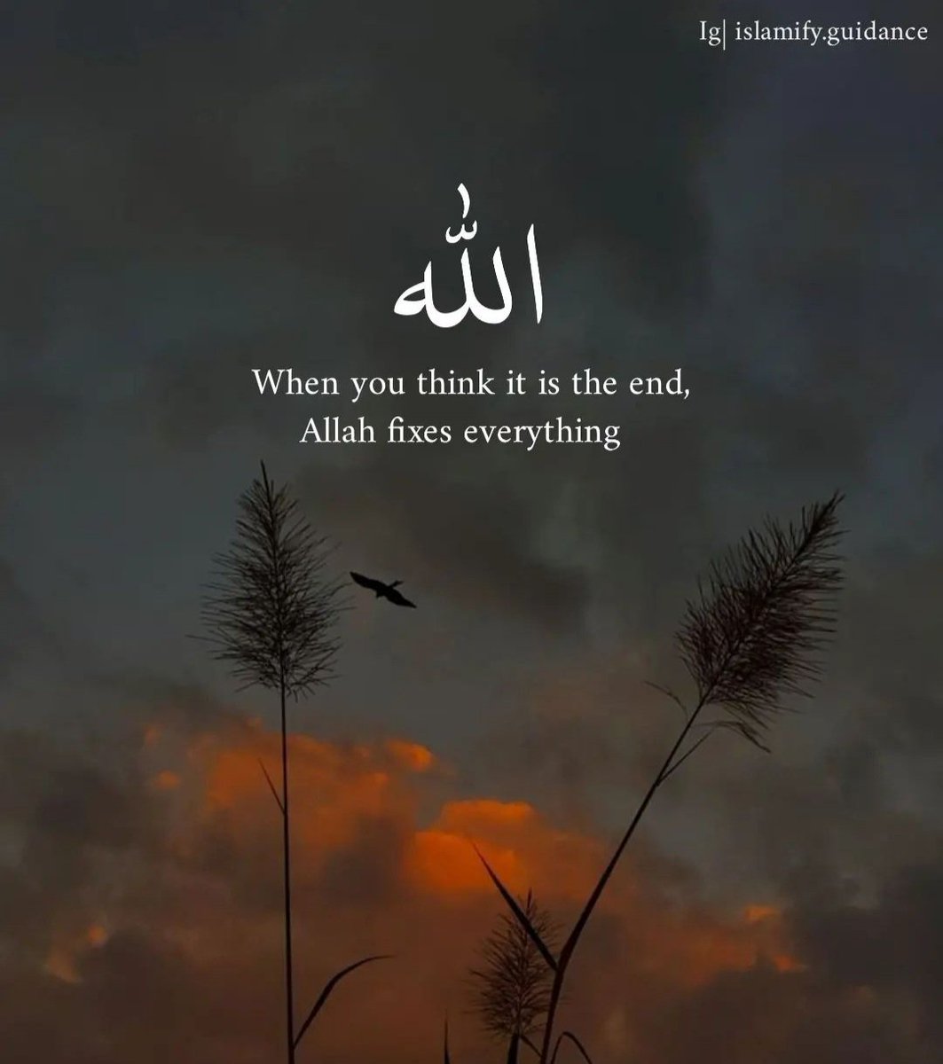 RoShZiMu's tweet image. Sabr ❤️‍🩹