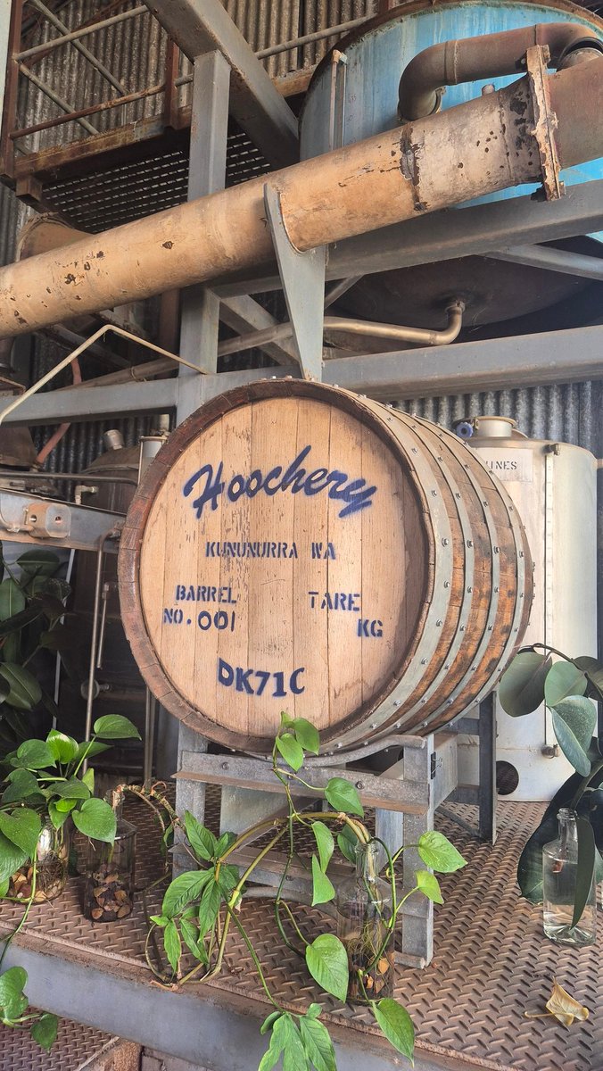 Gin tasting in #Kununurra #WesternAustralia