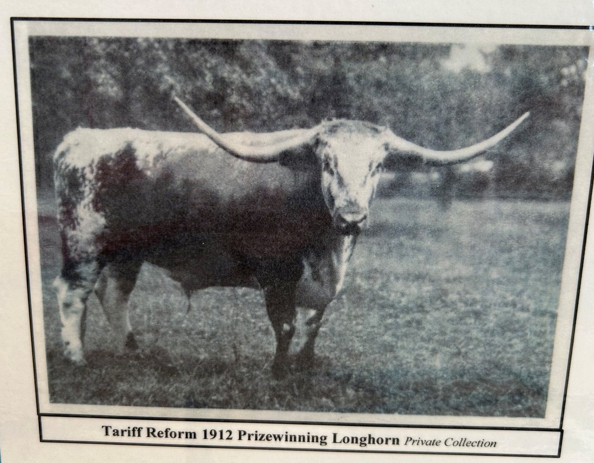 Longhorn Cattle Society tweet media