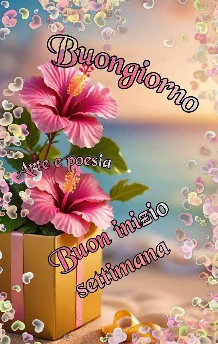 RITABIANCHi56 tweet media