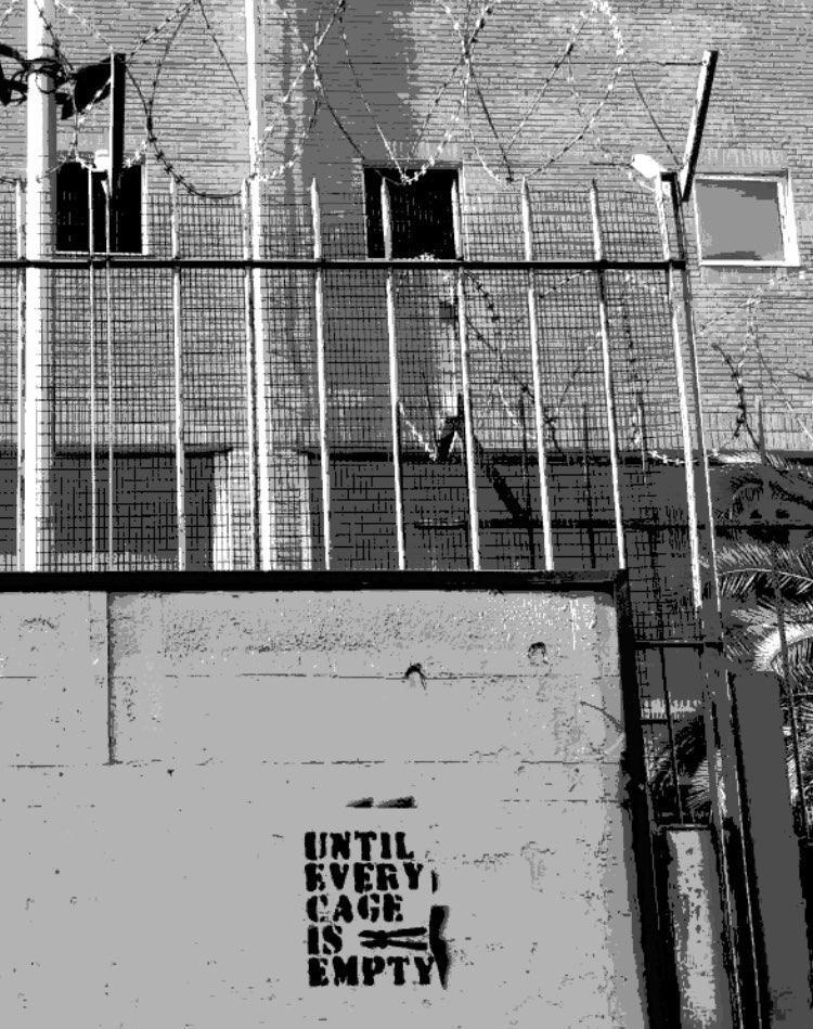 MeltingPotEU's tweet image. Detenzione amministrativa: sistemi carcerari e apartheid in #Palestina e #Grecia
🎧Un podcast di Against Detention Centers Athens
Redazione
meltingpot.org/2025/07/detenz…