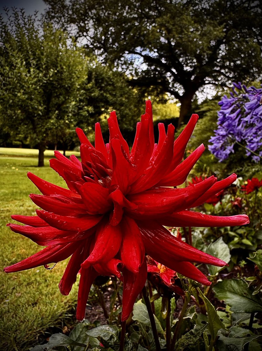 JohnRolandEvan1's tweet image. Feeling vibrant on a grey Monday morning 🌺🌚