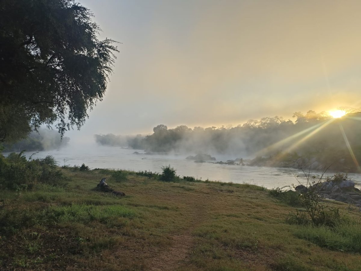 Robin Pope Safaris tweet media