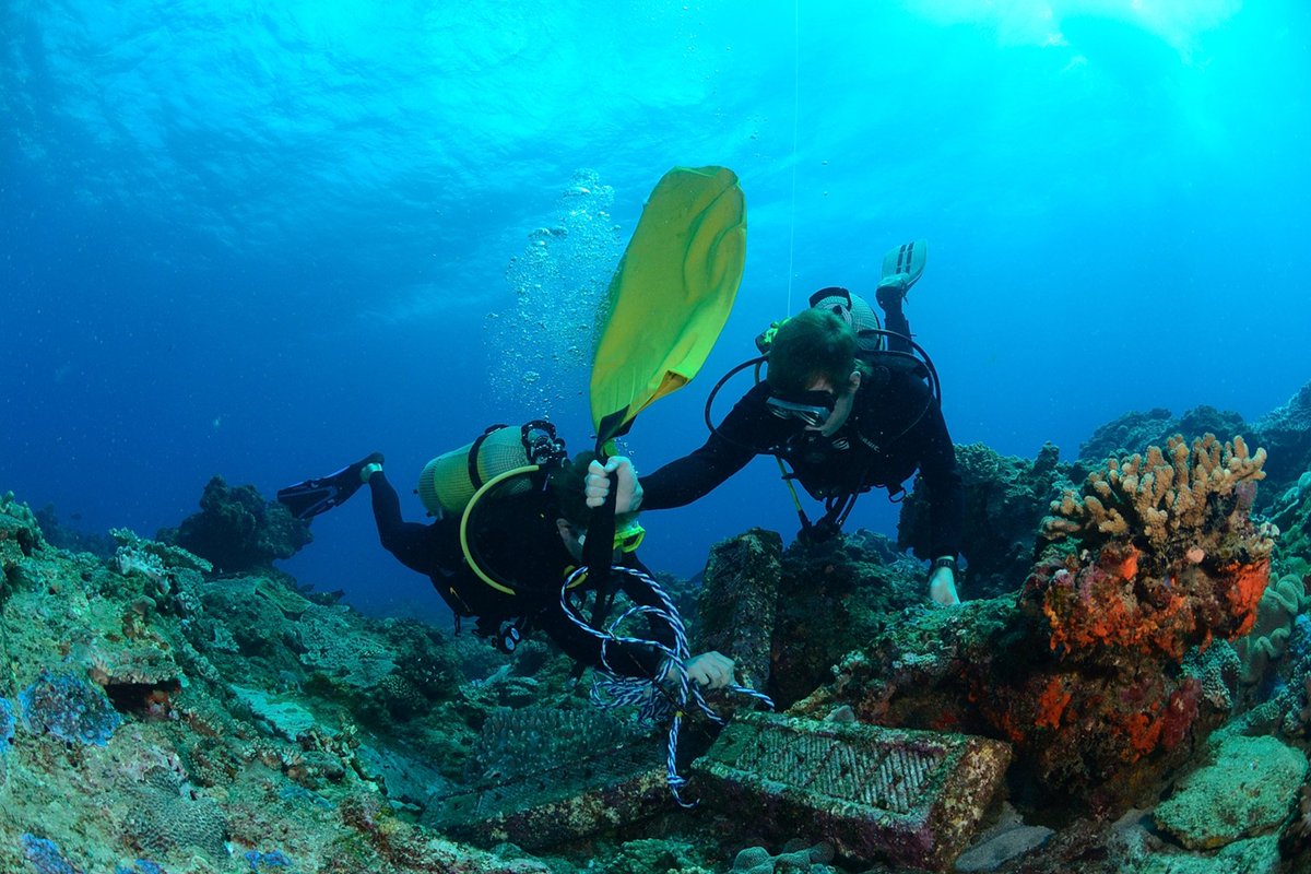 📢#Vacancy: 
🤿Assistant Scientist – #Coral #Reef Ecology 🪸

The #Oceanographic #Research Institute <a href="/saambr/">SAAMBR</a> in Durban 🇿🇦 is looking for an MSc-qualified #marine #biologist with reef ecology &amp; SCUBA diving experience 

🗓️Apply by 1 Aug 2025
saambr.org.za/wp-content/upl…