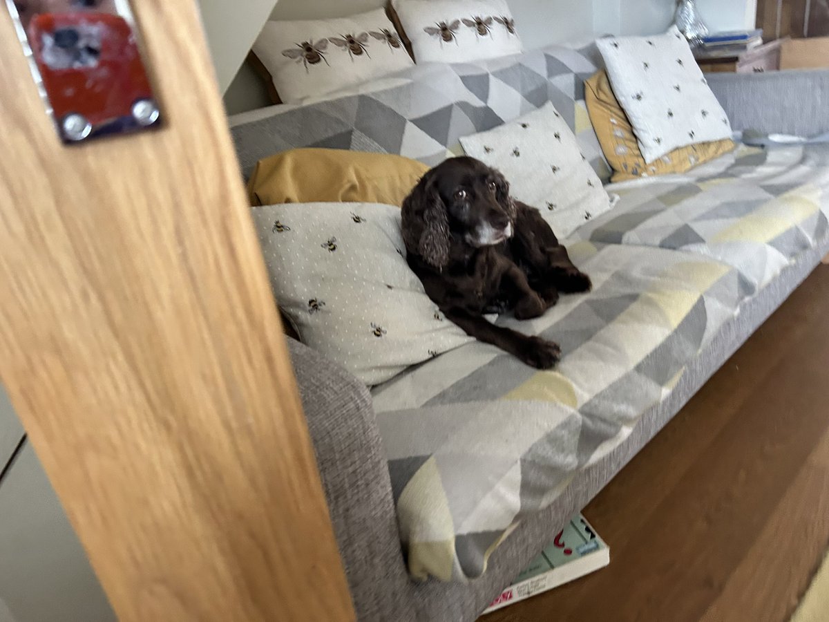 Good morning friends mixed weather 🌦️ for us so hoping to
get me walkies in before a showers come enjoy wot ever yoz doin 🩷🐾🐶😘