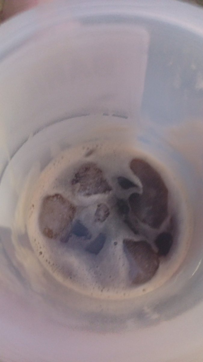 Emmamatias97's tweet image. Fernuki
#fernet #fernetconcoca