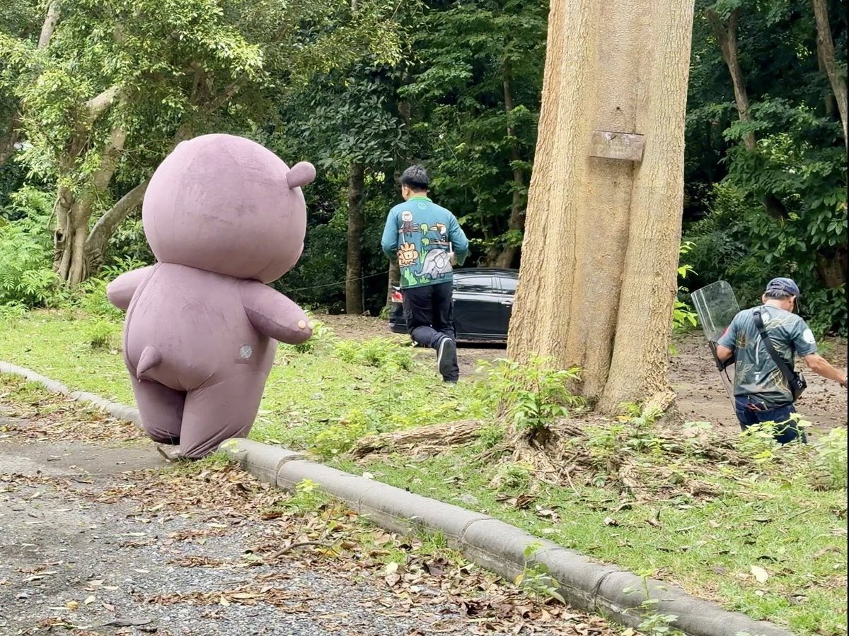 environmanth's tweet image. กรี๊ดลั่น หมูเด้งหลุด?!
ถึงจะแบ๊วเหมือนกันแต่ที่เห็นอยู่นี้ไม่ใช่เหตุการณ์จริงนะ😂 เพราะนี่คือการฝึกซ้อมแบบเล่นใหญ่ของสวนสัตว์เปิดเขาเขียวที่ “ซักซ้อมแผนรับมือสัตว์หลุด” เพื่อเตรียมความพร้อมหากเกิดเหตุการณ์จริงตะหาก
ระหว่างการซักซ้อม…