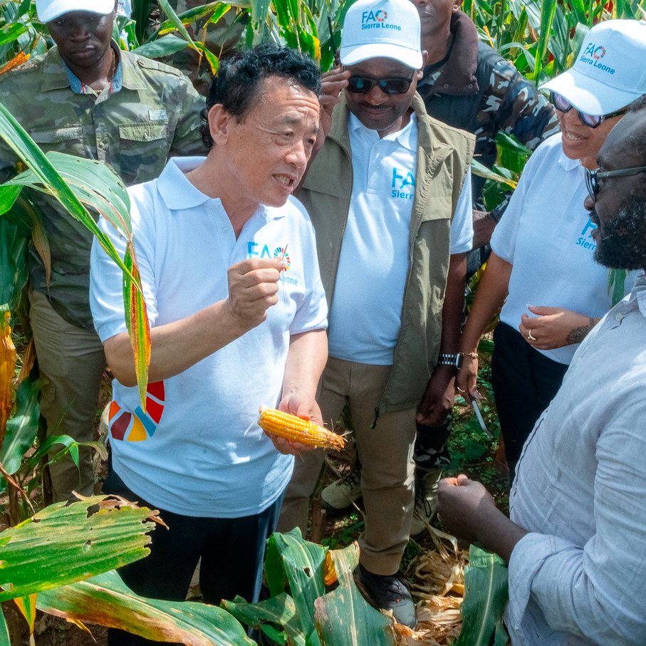 📸See some of the photo highlights from <a href="/FAODG/">FAO Director-General QU Dongyu</a> Qu Dongyu's recent visit to Sierra Leone 👉🏿👉🏿flickr.com/photos/faonews… 

<a href="/FAOSierraLeone/">FAO in Sierra Leone</a> #4Betters