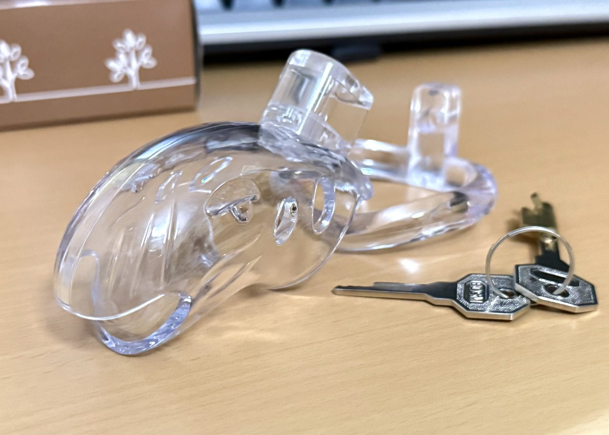 お絵かき中のえっちな欲に負けないためのえっちな装備品を手に入れた(支離滅裂)
透明だけど何気に目があって草食竜みたいな顔しててかわいい🦕
でも0721の日に逆らってしまった…怒られちゃう(*ﾉω<*)