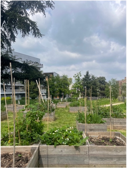 🌿 Devinez où elle pousse?

🍓 Cette semaine : la fraise des bois.
Elle pousse, tranquillement, dans un espace commun, à portée de main, à hauteur de regard.

Ici, à Vilgénis, ce quartier de Massy où l’on construit la ville en laissant de l’espace au végétal.
