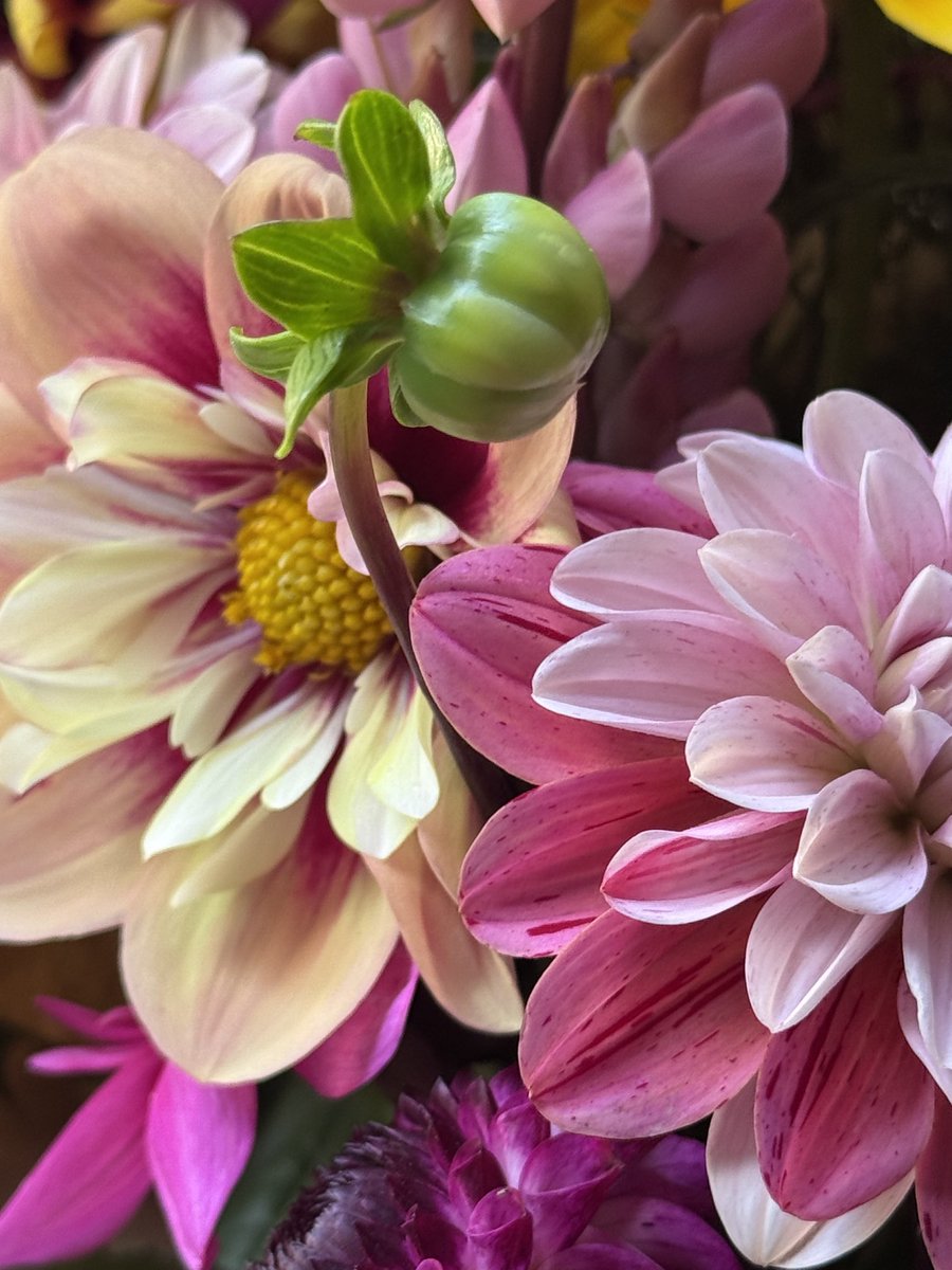 GardenBrocante's tweet image. Closeup of part of the bouquet I’m making up. My customer wanted dahlias included ❤️💐