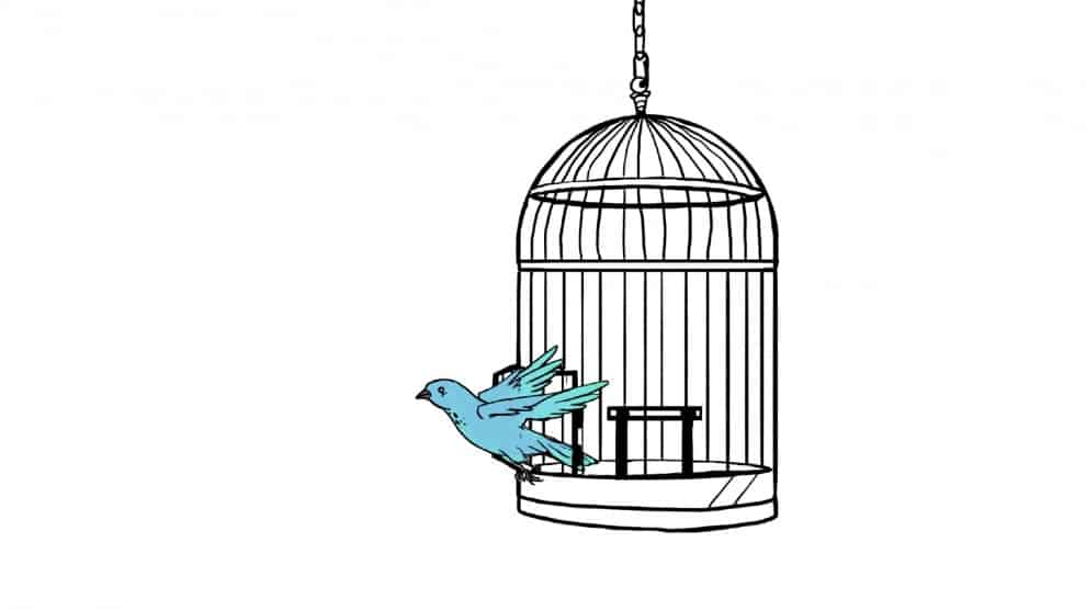 singularissimo's tweet image. libertarians that inhabit cities are just like birds in a cage

stop preaching, start embodying

when you cross the door of nature, you never turn back