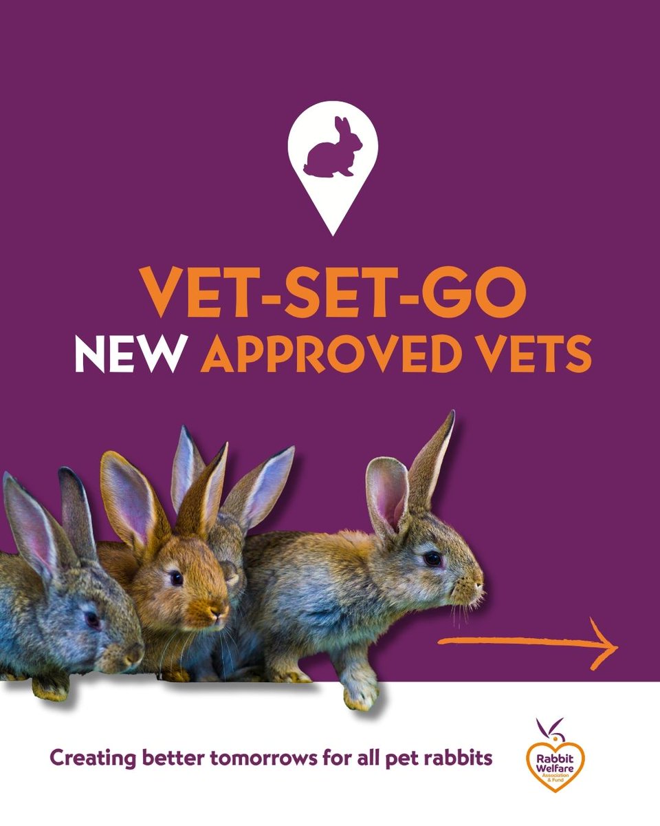 RabbitRWAF's tweet image. A warm welcome to all the new vets who have become members of our Recommended Rabbit-Friendly Vets Directory 👏🐰
If you think your vet is rabbit savvy, then why not tell them about us & encourage them to apply to be included in our directory -
rabbitwelfare.co.uk/make-your-prac…