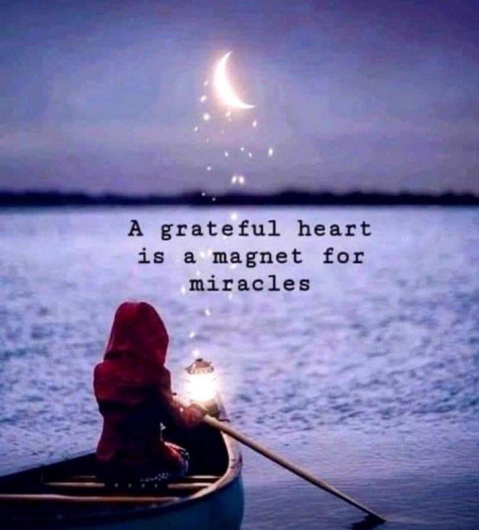 gratefuledu64's tweet image. When you cultivate an attitude of gratitude, you become more aware of miracles happening all around you and blessings in your life, which can lead to experiencing little moments of magic sprinkled throughout the rest of the day.
#MondayMotivaton #grateful