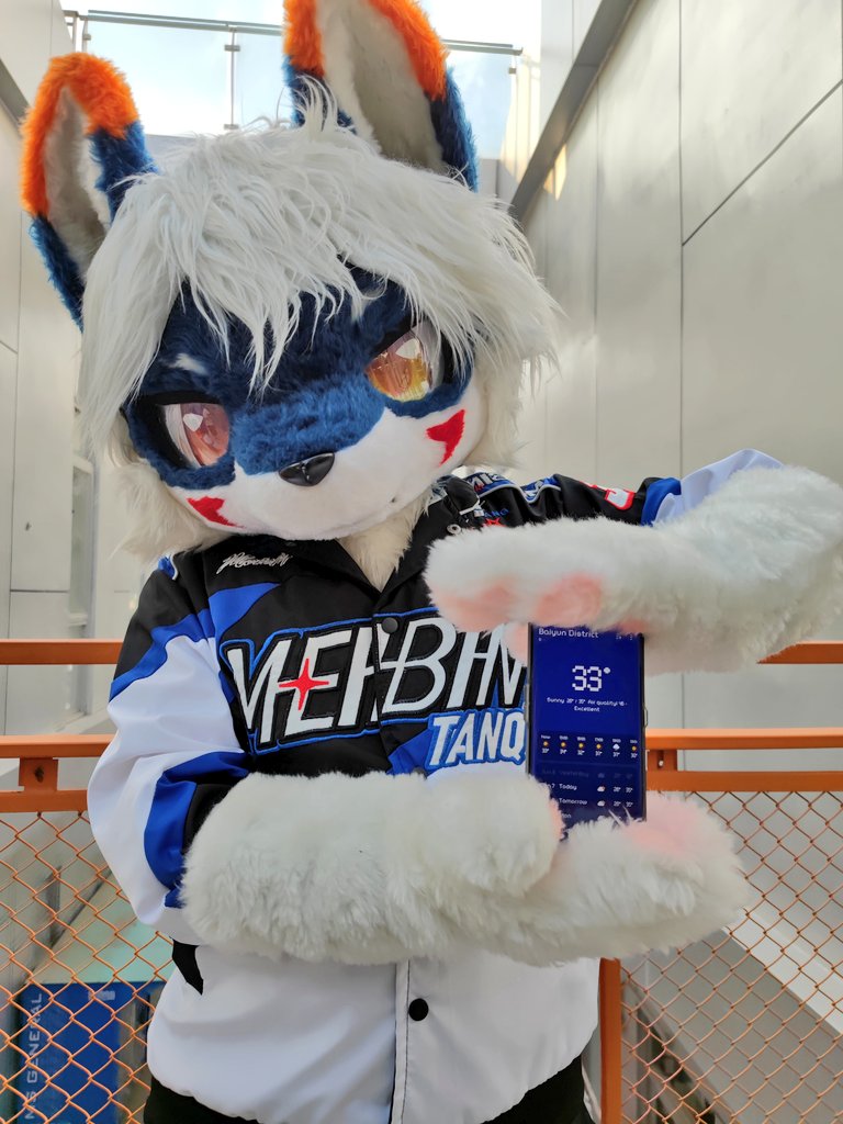 #FursuitEveryday  ///  庫   米 ///
———————————— 🦊
33℃降温了! &gt;&lt;
 丨- ☀️
📸：Kumi ( ?!