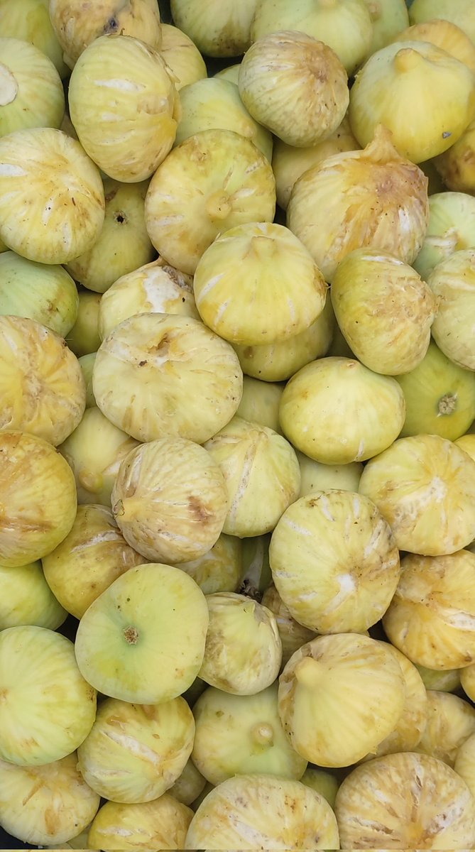 Oldu en sonunda oldu bim bam bom rüyalarım gerçek oldu...