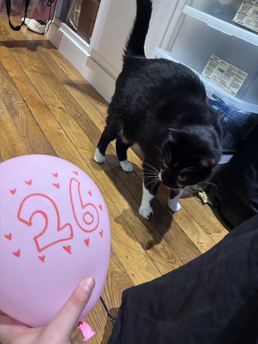 marcantoinecat's tweet image. EVERYONE GO WISH A HAPPY BIRTHDAY TO MY MOMMY RN