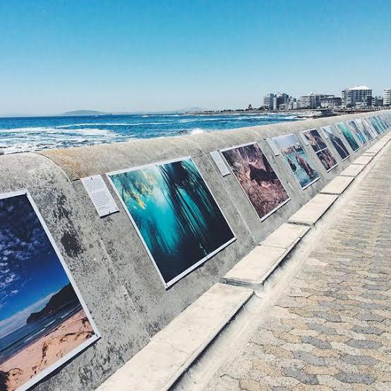 Reminder deadline 31 July!!

From Poles to Promenade: Connecting South African Polar Science to the Public Through Art

We welcome submissions that showcase polar research through imagery. Data visualisations welcome. 

Apply here

lnkd.in/dwQcBDgX