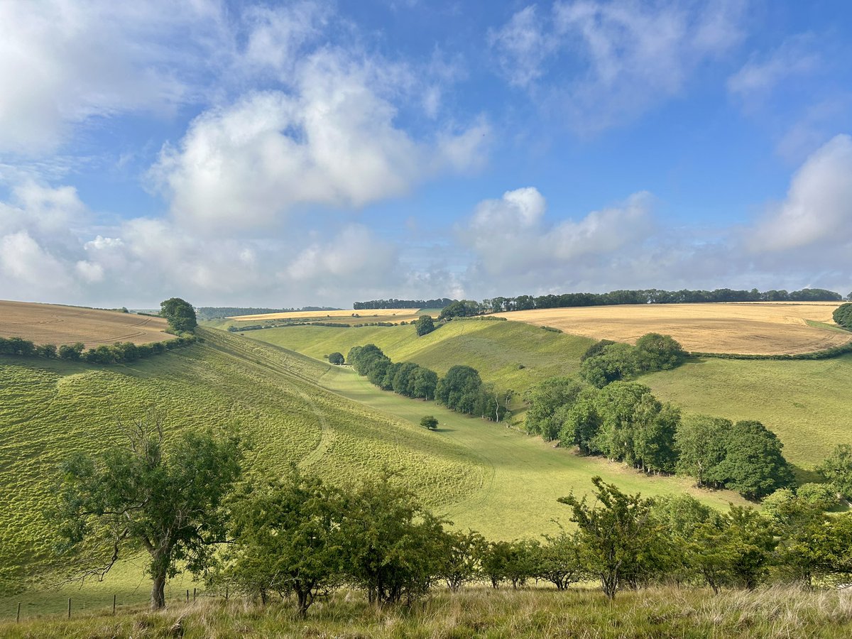 WeatherWolds's tweet image. Morning Light. 17°C with sunshine and cloud. Magpies.