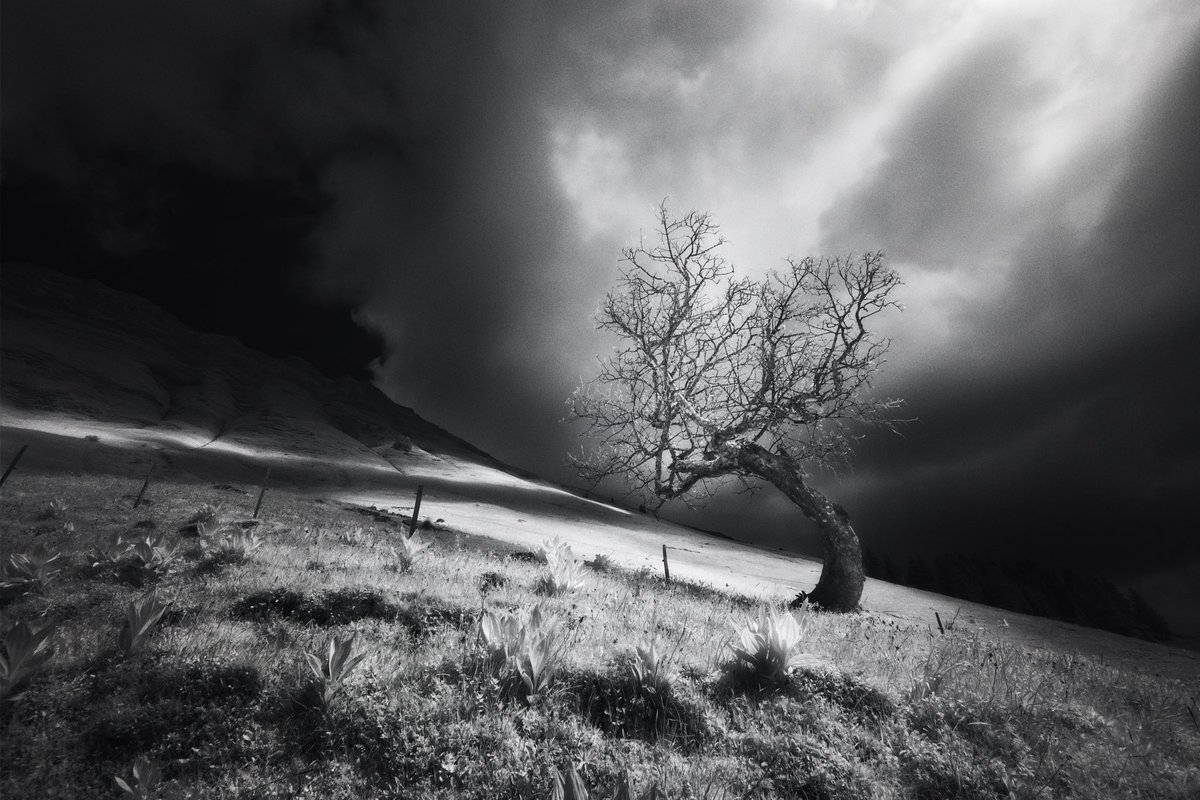 Photography szn is upon us 📸