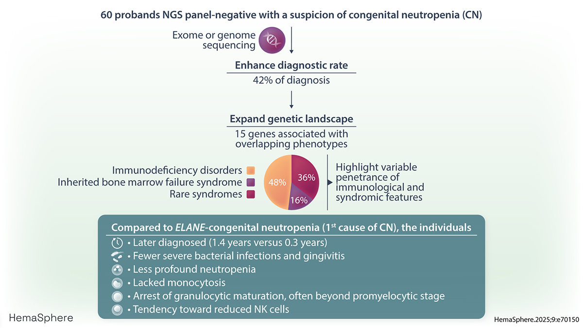 Hemasphere_EHA's tweet image. Significant contribution of exome and genome sequencing in diagnosing congenital neutropenia (#CN). This study highlights the importance of advanced genetic testing in diagnosing CN, given its phenotypic overlap, genetic heterogeneity, and variable penetrance of immunological…