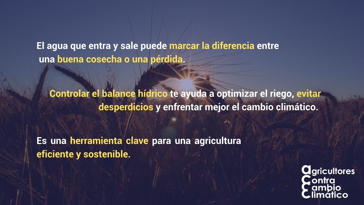 💧🌿 ¿Conoces el balance hídrico de tu finca?

#BalanceHídrico #RiegoEficiente #CambioClimático #AgriculturaSostenible