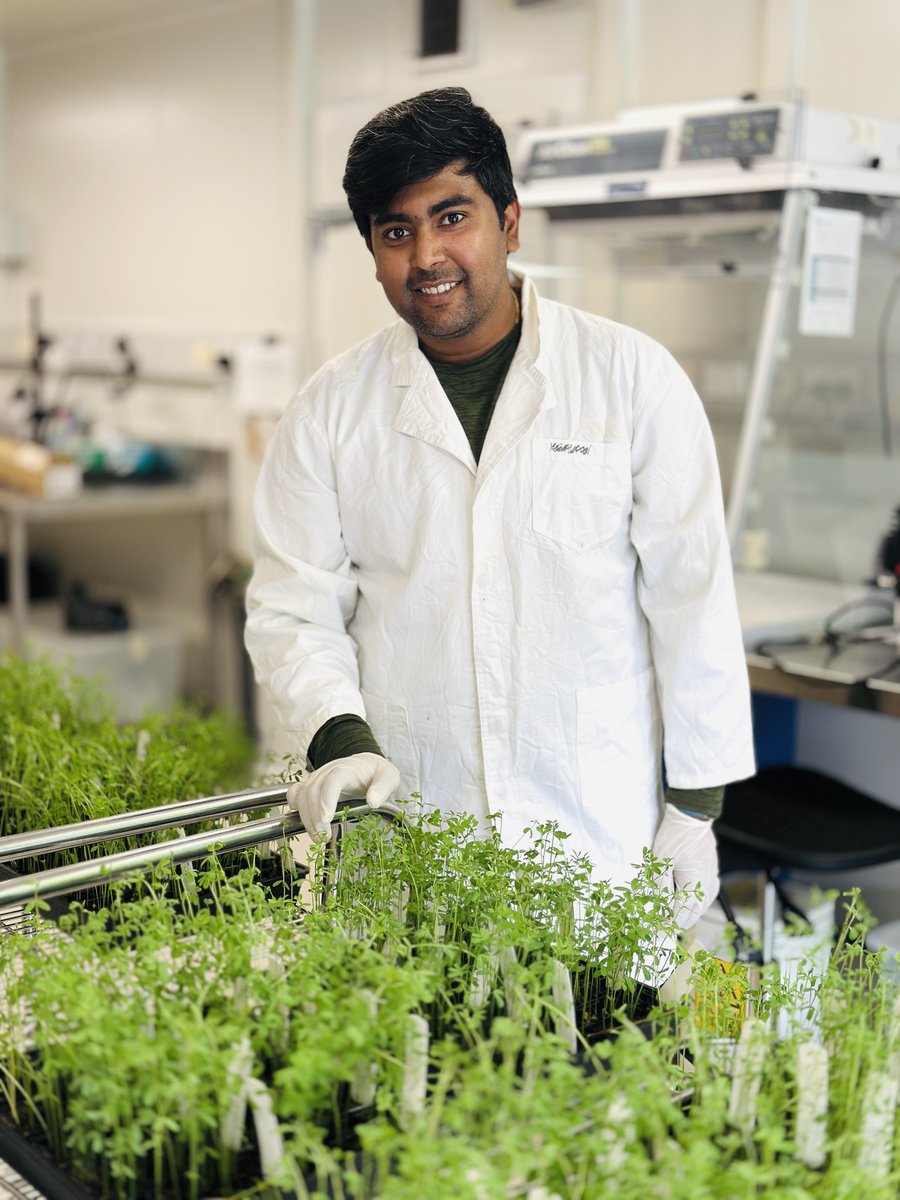 CurtinMedia's tweet image. Congrats to Curtin PhD student Nimllash Thangam, a national finalist in #FameLab Australia 2025! He’s using science storytelling to fight crop disease and promote sustainable farming. National final's on 18 Sept at @wamuseum! #ScienceCommunication #SustainableFarming